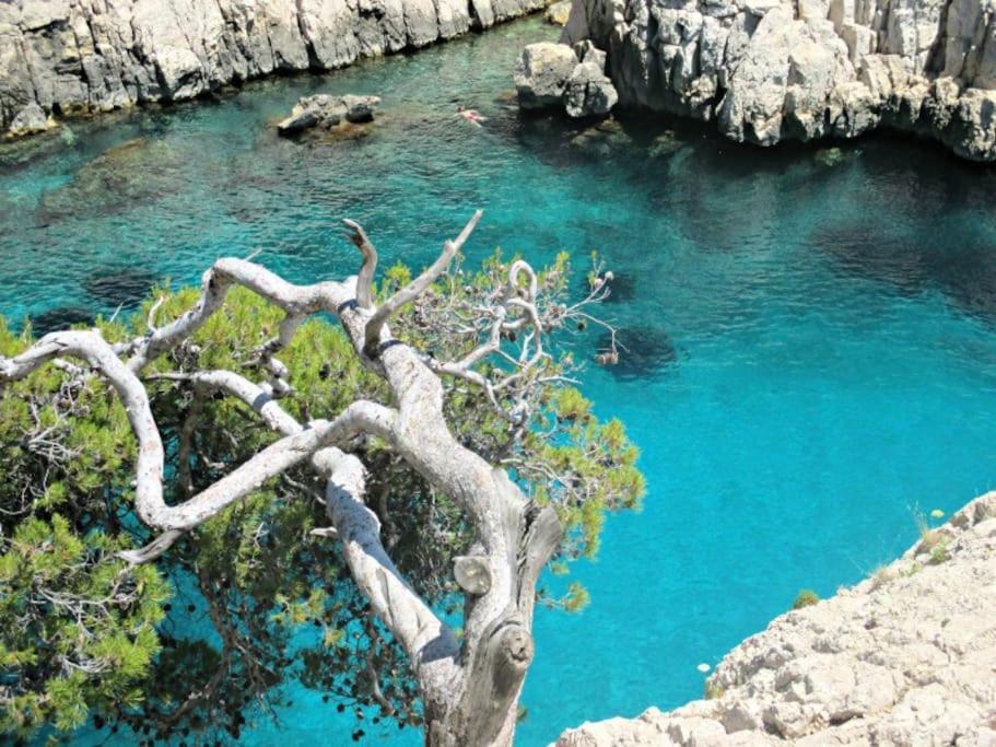T4 Renove, Clim, Internet & Netflix, Tout Confort Marseilles Exterior foto